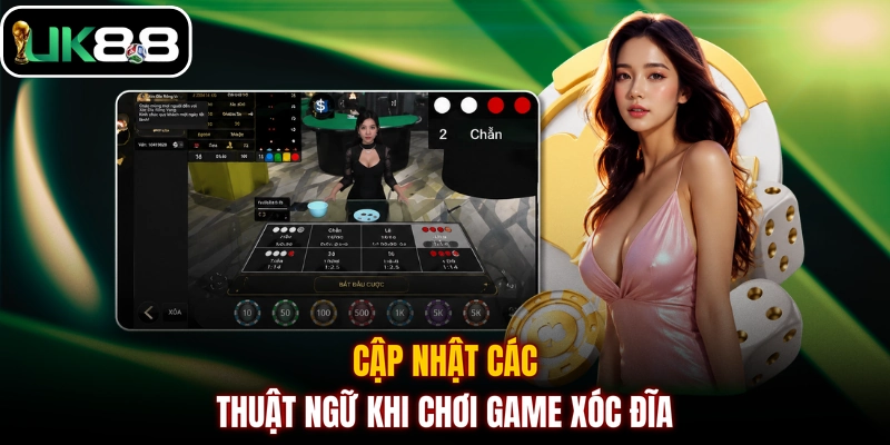 Cập nhật các thuật ngữ khi chơi game Xóc Đĩa 